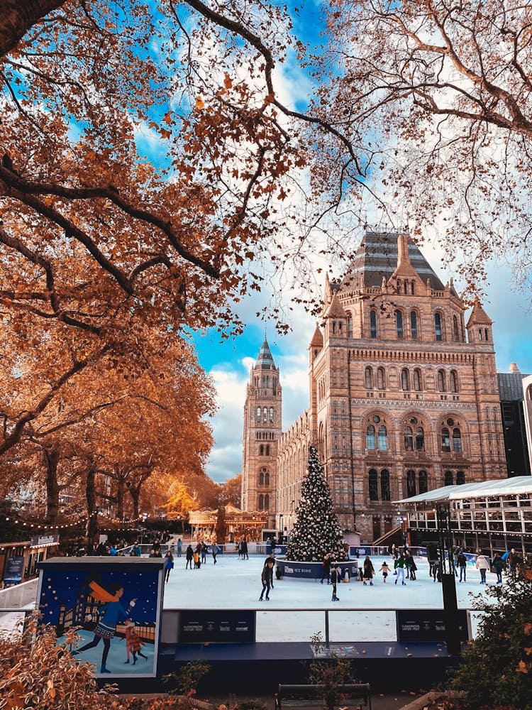 Ice Ring With Christmas Tree In City