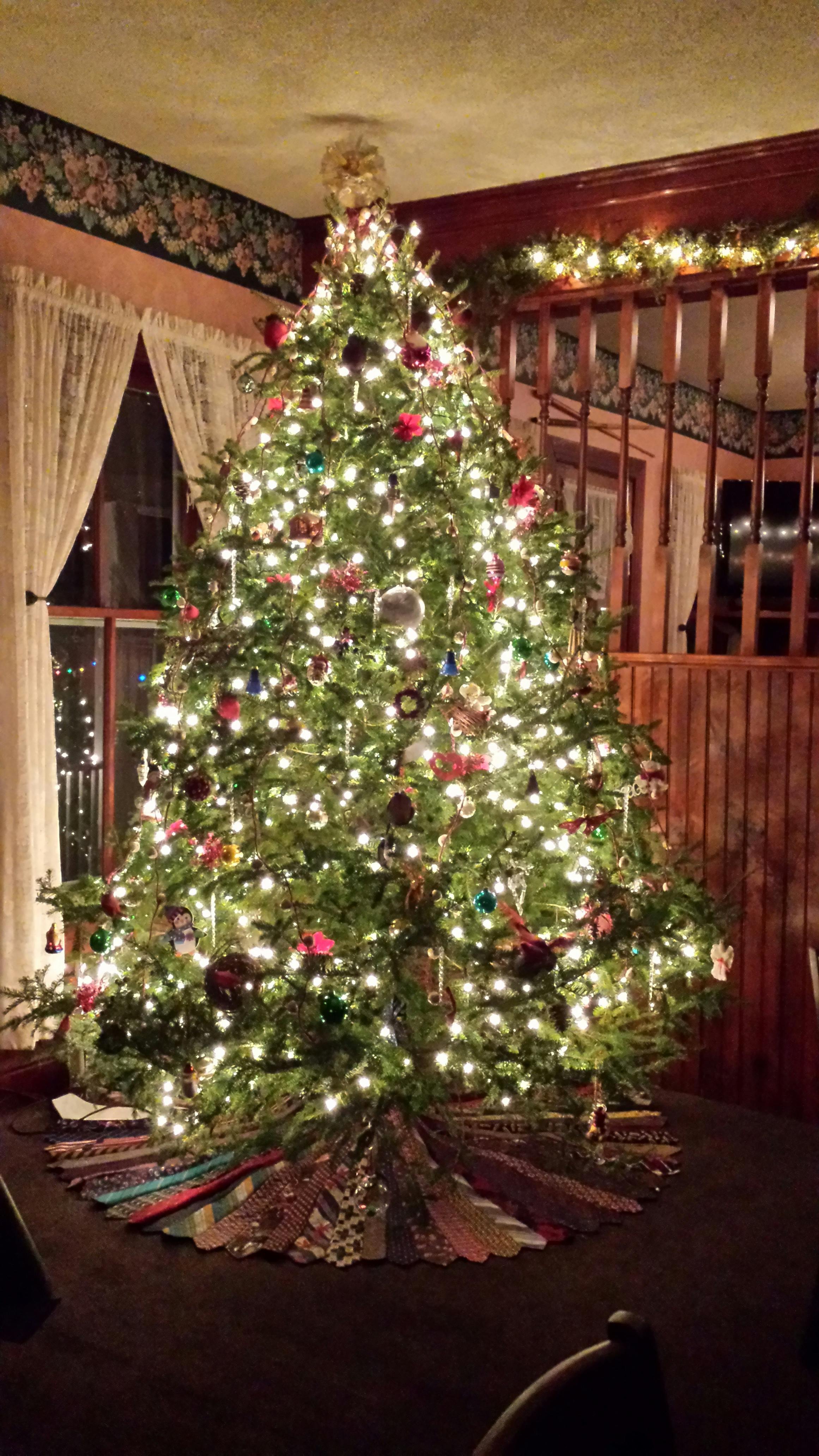 top christmas trees 2016