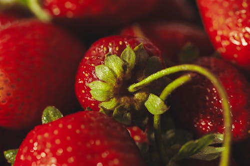 과일, 달콤한, 딸기의 무료 스톡 사진