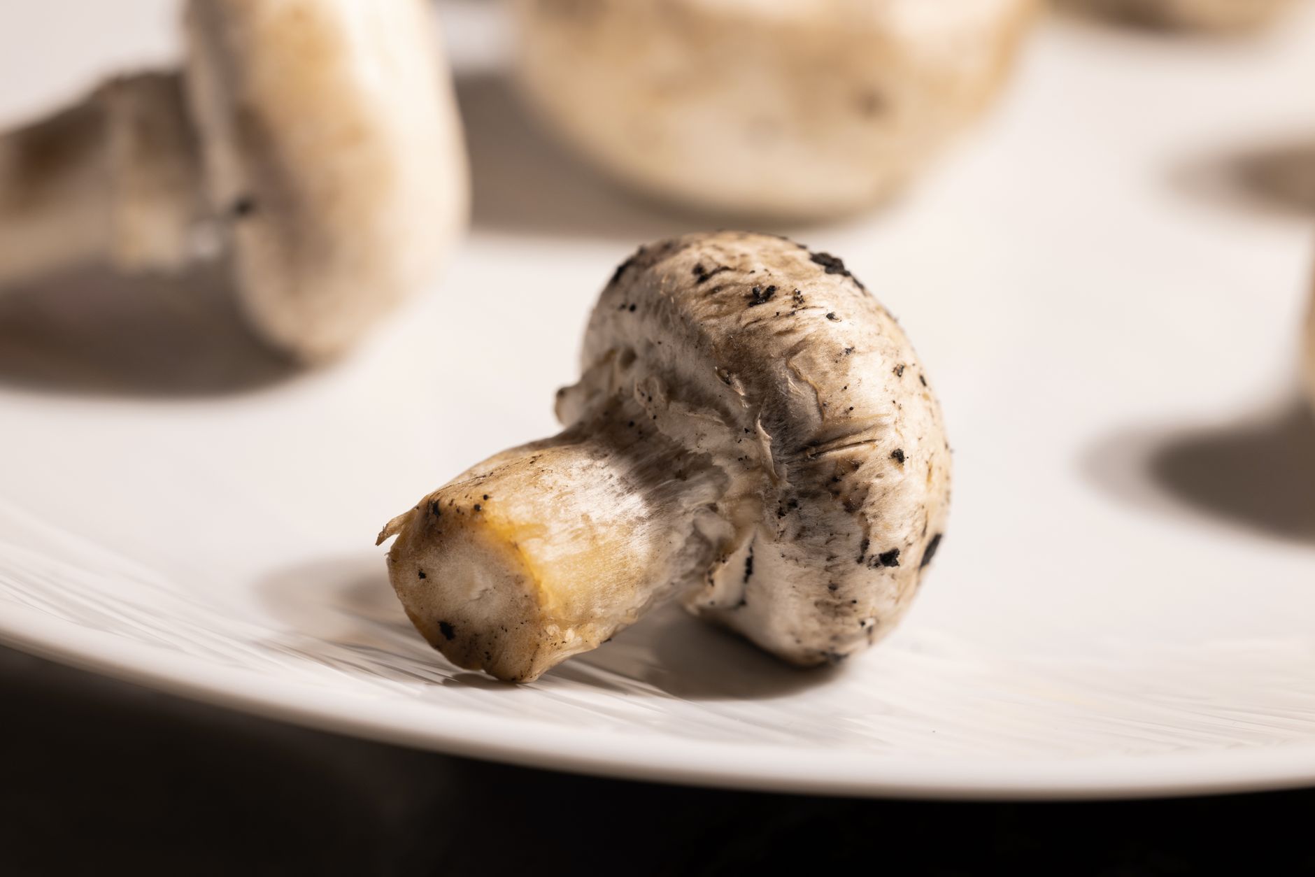Mushrooms stored in a paper bag in a refrigerator drawer