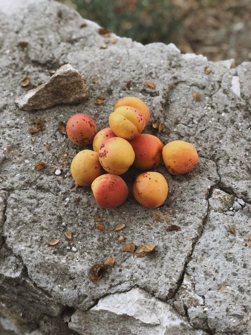 Free A cluster of fresh apricots resting on a rugged concrete surface, embodying summer's bounty. Stock Photo