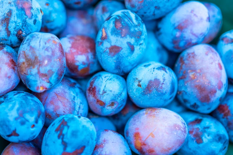 Blue Plums