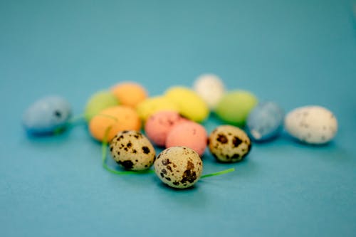 Close-Up Shot of Quail Eggs on a Blue Surface