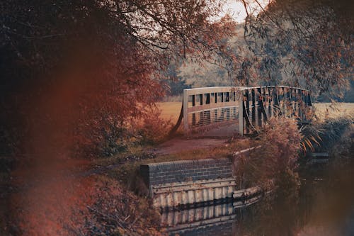 橋, 河, 狹窄 的 免费素材图片