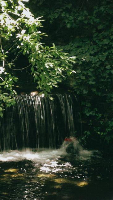 Air Terjun Tersembunyi: Kesegaran di Tengah Hutan Serdang Bedagai Air Terjun Tersembunyi: Kesegaran di Tengah Hutan Serdang Bedagai