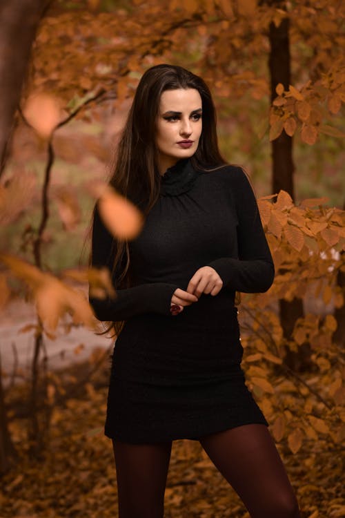 Woman in Black Long Sleeve Dress Standing in Autumn Forest