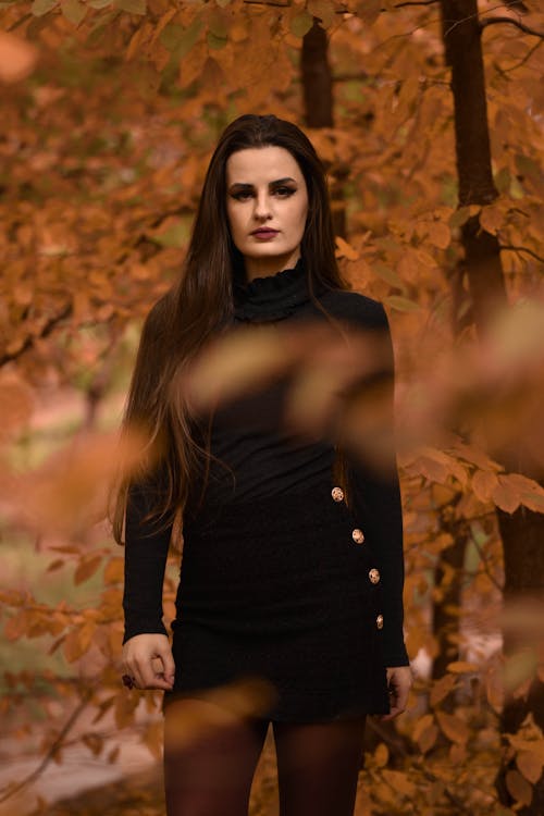 Woman in Black Long Sleeve Dress Standing Near Autumn Trees