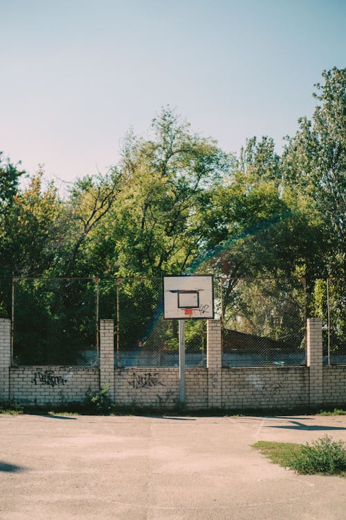 免费 垂直拍摄, 樹木, 篮球圈 的 免费素材图片 素材图片