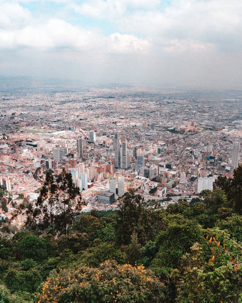 Aerial View of a Metropolitan Area