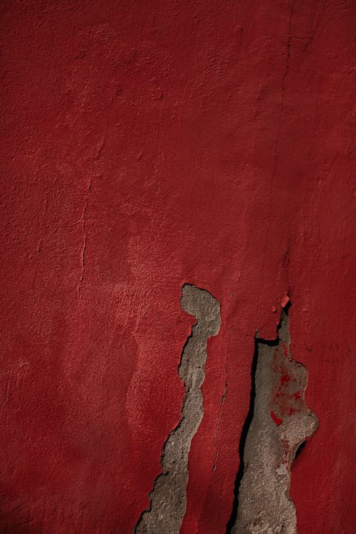 Close-Up Shot of a Red Wall