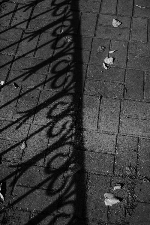 Free Iron Fence Shadow on Pavement Stock Photo