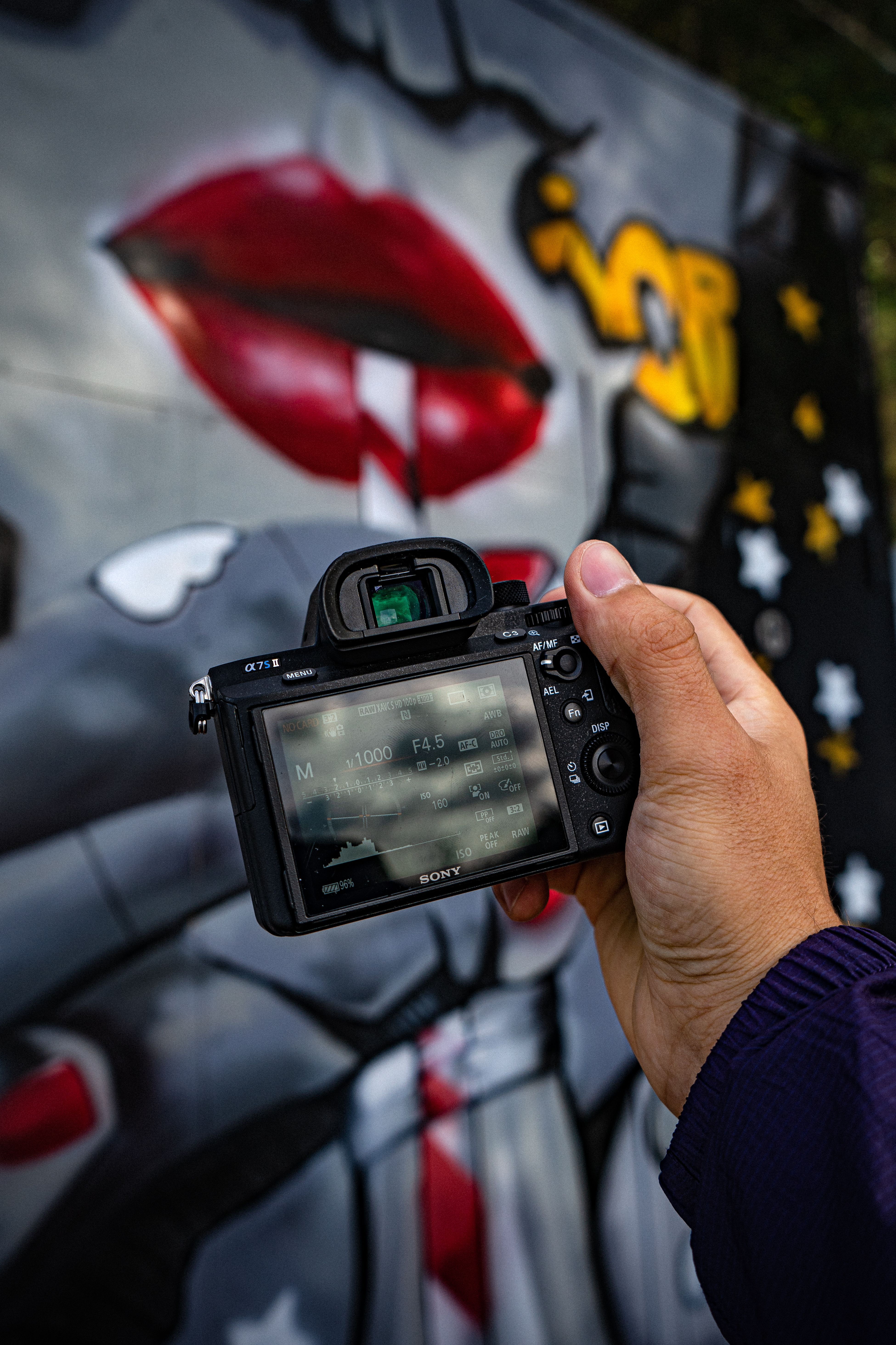Person Holding Black Camera Beside Graffiti Wall · Free Stock Photo