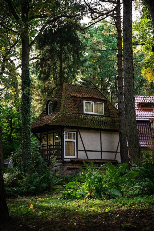 Small Wooden House in Forest