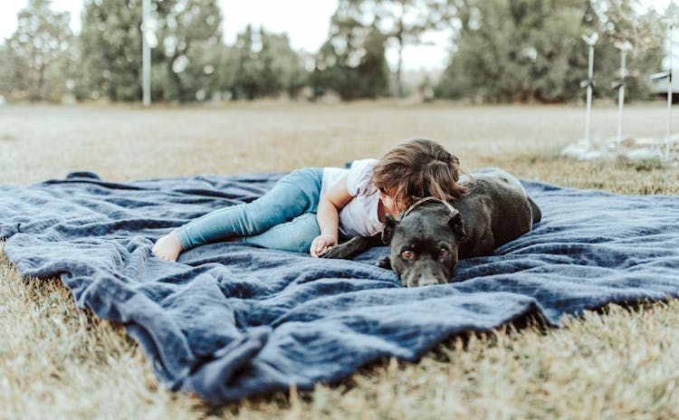 Little Girl And Dog Lying On A Blanket 