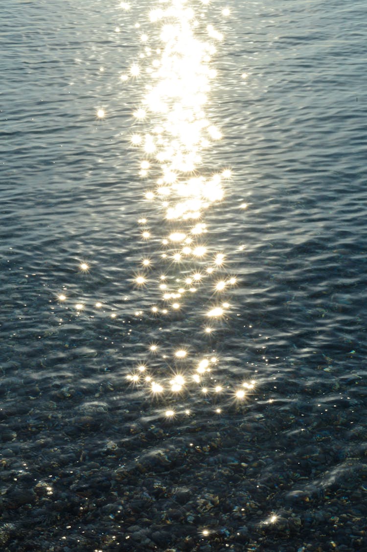 A Body Of Water Glittering