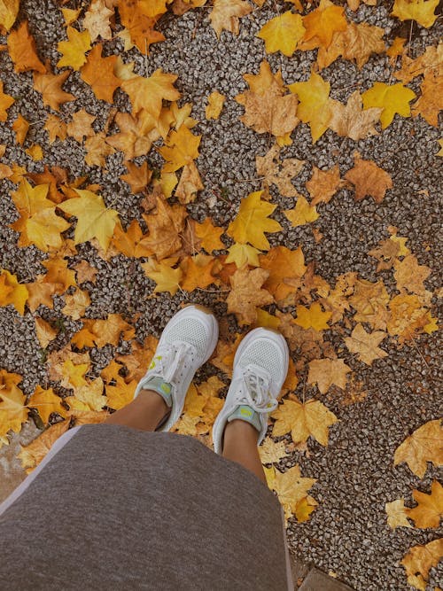 Free Photo of a Person's Feet Near Yellow Autumn Leaves Stock Photo