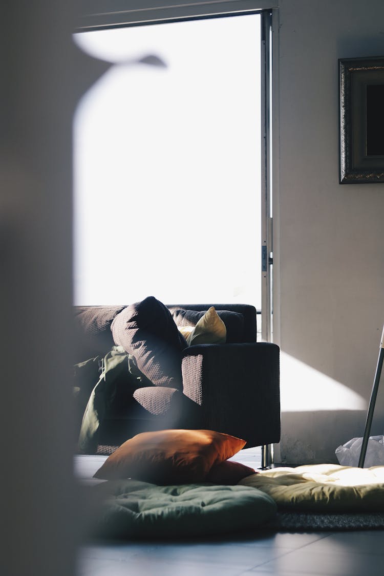 Brown Couch Near Pillows And Mats