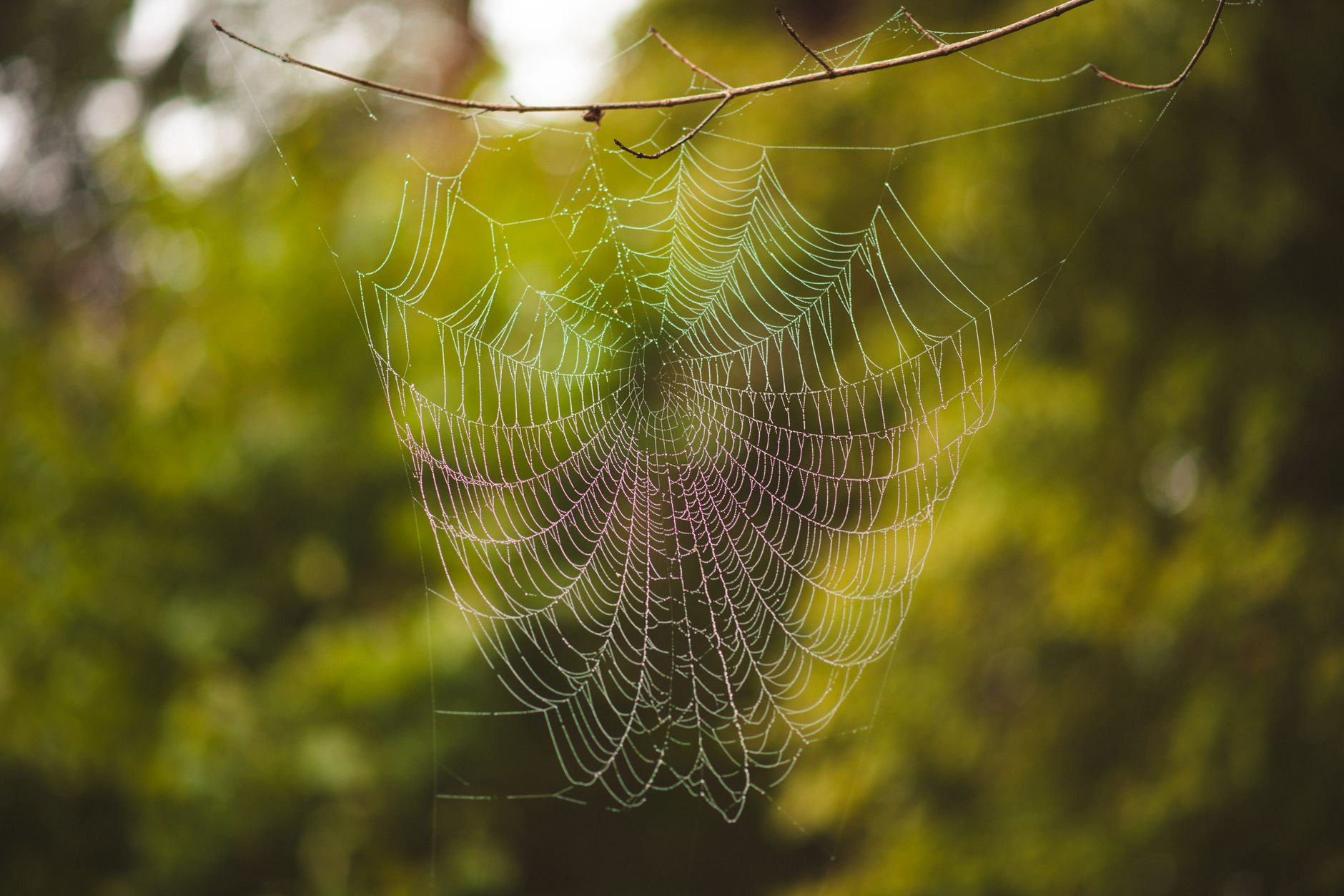 web scraping without getting blocked