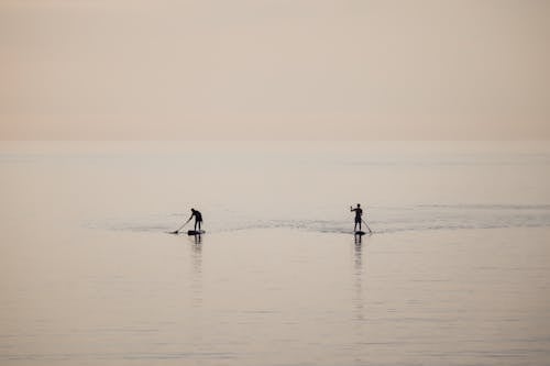 คลังภาพถ่ายฟรี ของ paddleboarding, ซิลูเอตต์, ทะเล