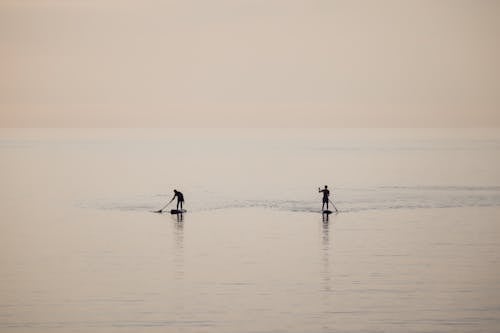 Gratis stockfoto met gebied met water, mensen, omtrek