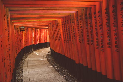 Torii path at Fushimi Inari Taisha Shrine
