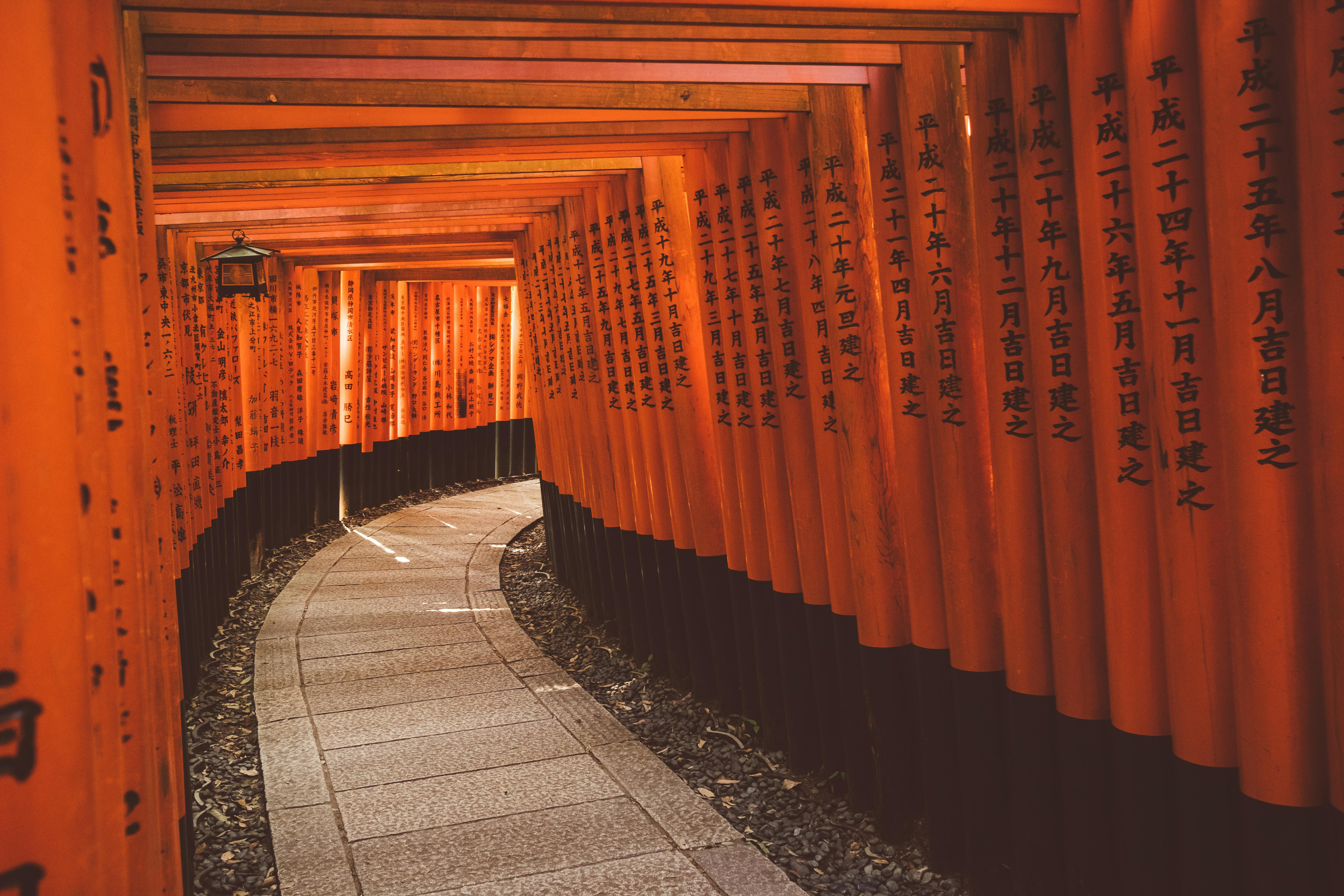 Traditional red torii gates forming a pathway at Fushimi Inari Shrine in Kyoto, Japan.