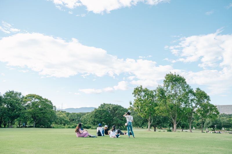 People sitting on the grass in a wide city park — Brian Phetmeuangmay on Pexels