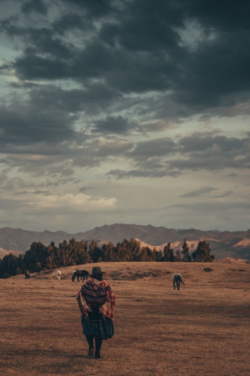 Foto profissional grátis de andando, área, campina