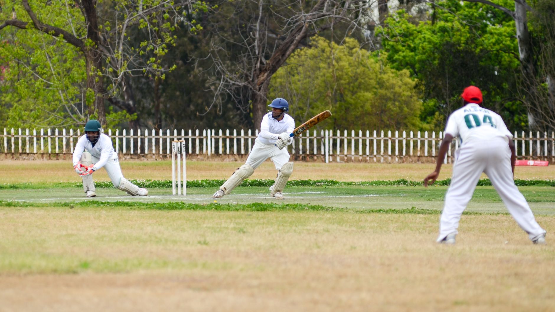 Dynamic scene of a cricket game with players in action outdoors on a lush green field.