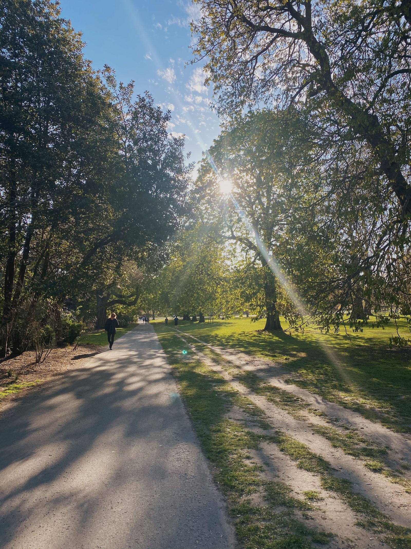 Folk som går tur i en park om sommeren
