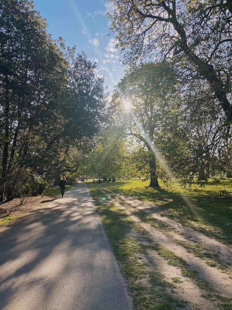 People Walking In Park On Summer