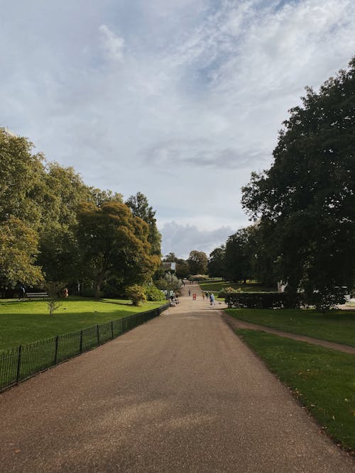 Paved Footpath Near Green Grass Field With Trees