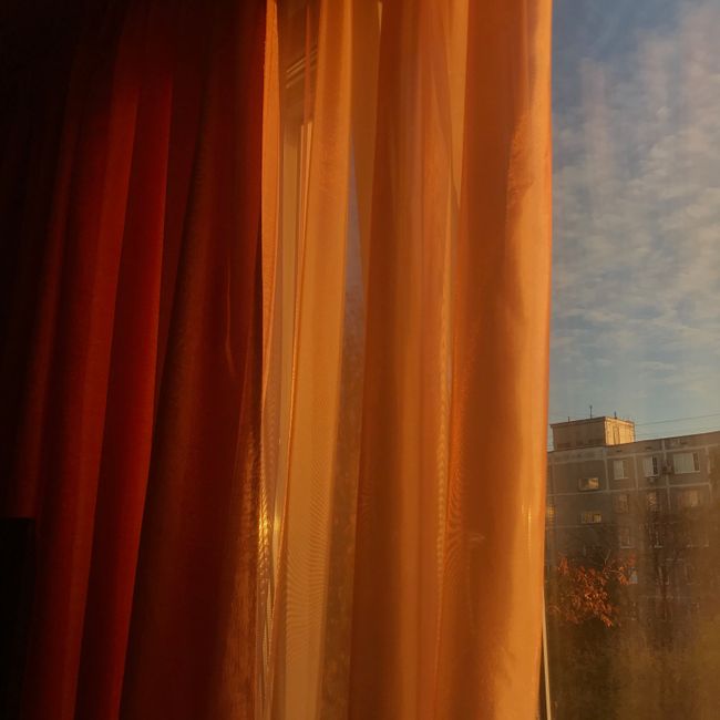 Warm sunlight streaming through curtains in an urban apartment, showcasing indoor decor.