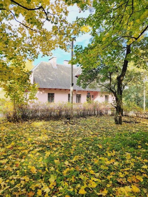 A House in a Village