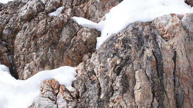 Detailed close-up of snow-covered rock formations in Steiermark, Austria's Alps.