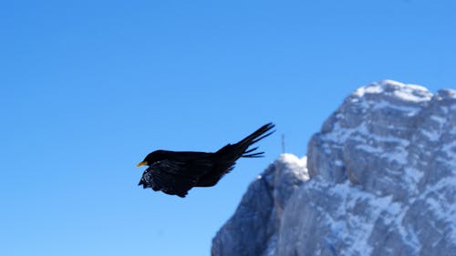 Fotos de stock gratuitas de Alpes, montañas, naturaleza