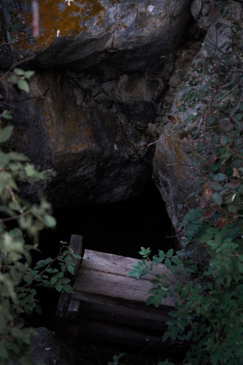 Free Explore a rustic cave entrance surrounded by dense foliage in Irkutsk Oblast, Russia. Stock Photo