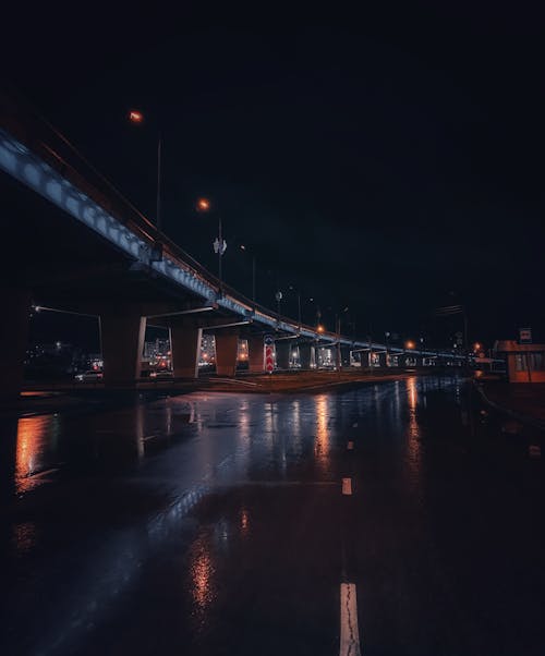 Highway under Bridge after Rain at Night