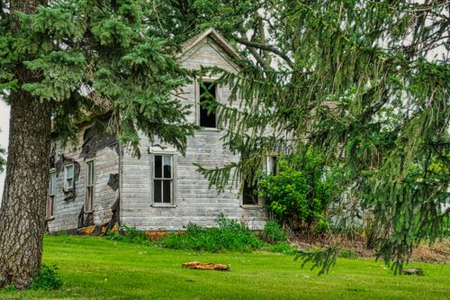 Free Eerie scene of an abandoned wooden house surrounded by lush greenery and trees. Stock Photo