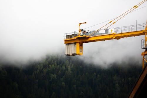 Yellow Crane in the Mountain Area on a Foggy Day