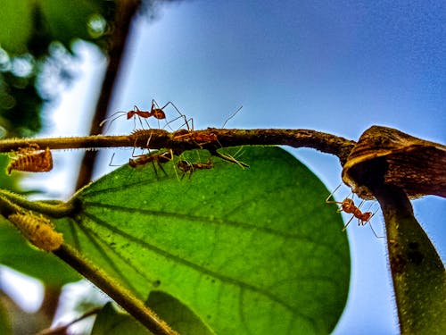 Fotobanka s bezplatnými fotkami na tému malý svet