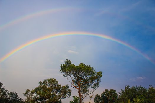 Captivating double rainbow arching over verdant trees against a vibrant blue sky, creating a serene and colorful scene.