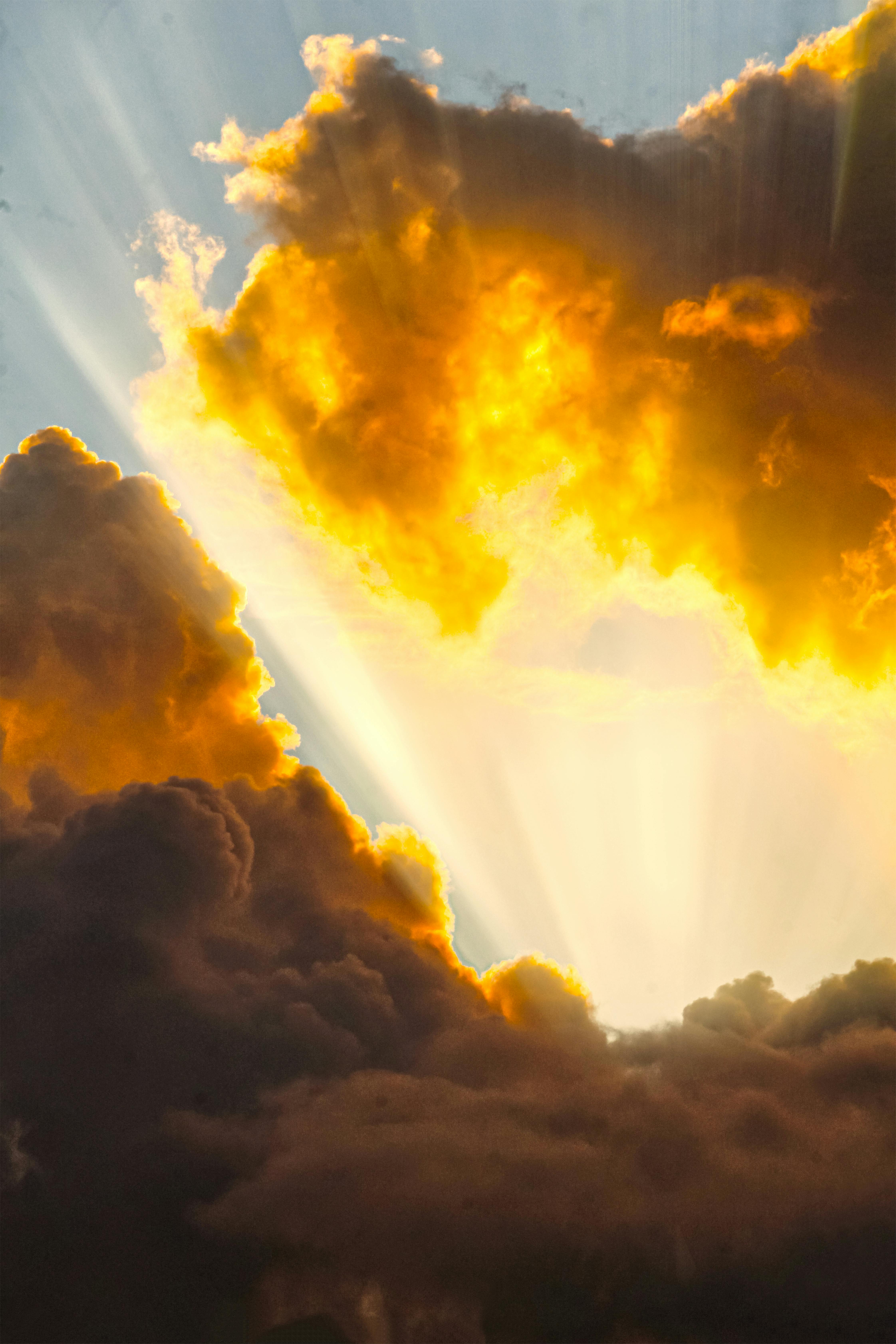 A group of people looking at a map