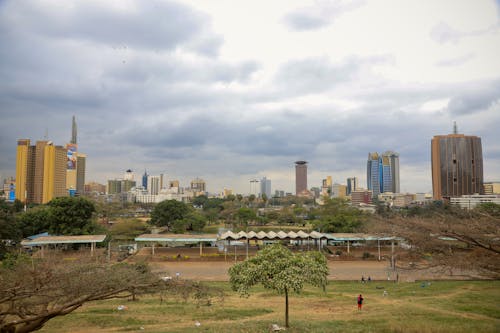 An Aerial Photography of Uhuru Park