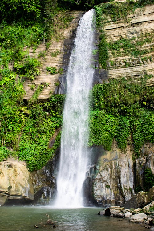 A Waterfalls in the Middle of the Forest