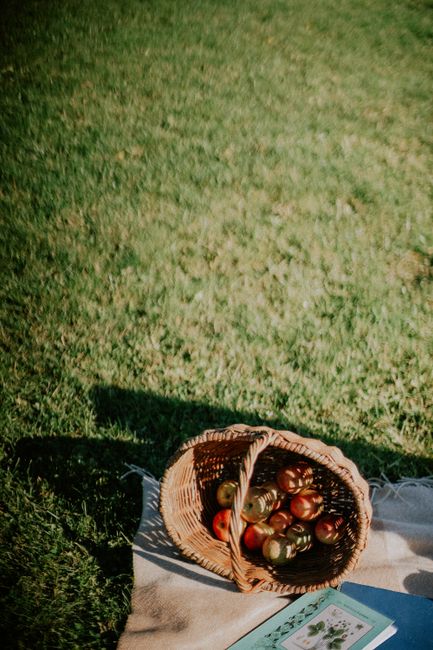 A wicker basket filled with fresh apples on a picnic blanket in a grassy meadow.