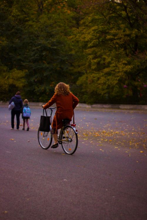 Free A woman cycles through a peaceful park during autumn, surrounded by nature and warm hues. Stock Photo