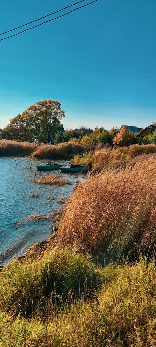 Free stock photo of autumn, boats, coast