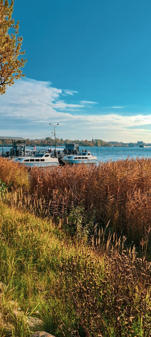 Free stock photo of autumn, landing stage, speedboats