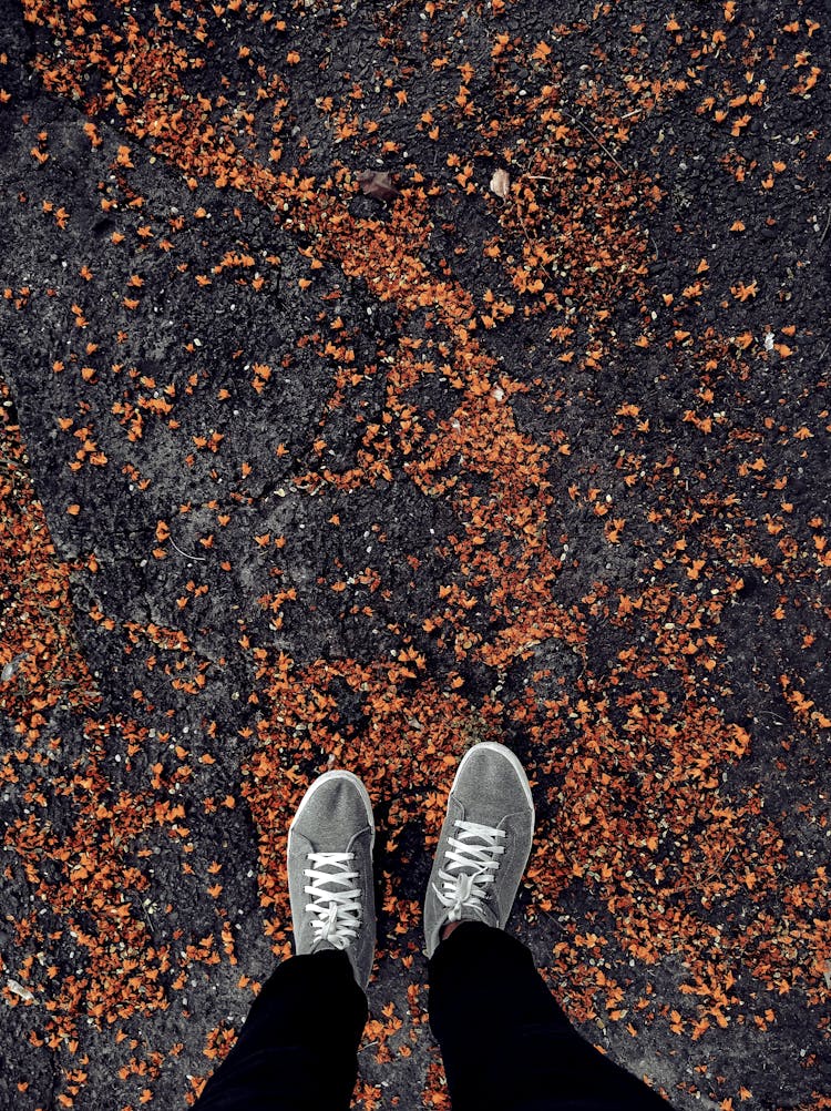 Feet Standing On Path Covered In Tiny Fallen Leaves